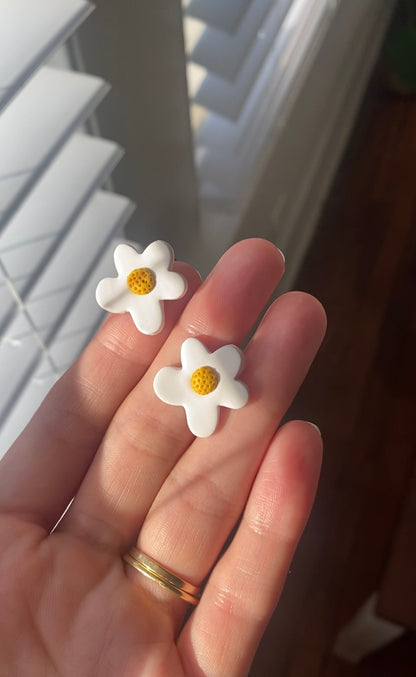 Florecita Daisies